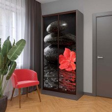 Шафа купе Стандарт 2Д (1000х450х2200)