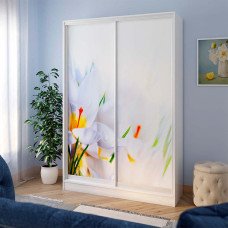 Шафа купе Стандарт 2Д (1400х450х2100)