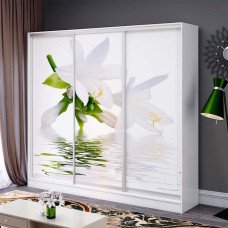 Шафа купе Стандарт 3Д (2300х450х2100)